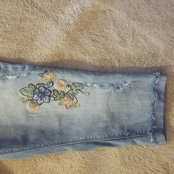 Black Daisy Kate - Picture 3 of 10